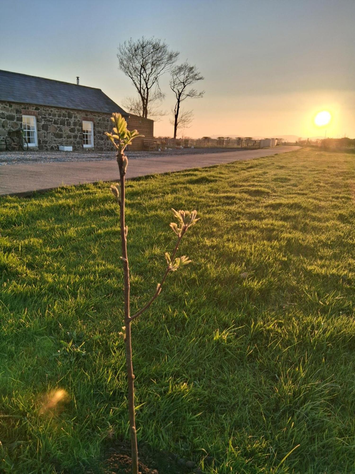 Holiday home Ballymultimber - Mountain Views Near Limavady